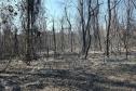PÓS INCÊNDIO
