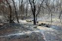 PÓS INCÊNDIO