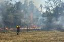 INCÊNDIO COM BOMBEIRO EM AÇÃO