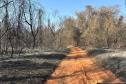 PÓS INCÊNDIO