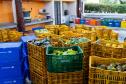 ALIMENTOS EM CAIXAS