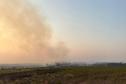 Foto de área queimada por incêndio