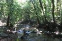 PAISAGEM