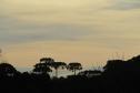 PAISAGEM