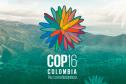 Com programas de preservação da biodiversidade, Governo do Paraná será protagonista na COP16, em Cali, na Colômbia