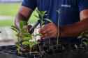 Com programas de preservação da biodiversidade, Governo do Paraná será protagonista na COP16, em Cali, na Colômbia