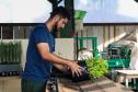 CAMPO E FRUTOS E VIVEIROS