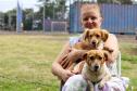 Foto de mulher com cachorros no Castrapet