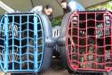 Foto de cachorros em gaiolas de transporte