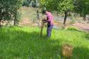 Ações ambientais para comemorar o Dia do Rio preveem a restauração de quatro hectares de mata ciliar em diferentes pontos do Paraná.