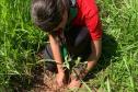 Ações ambientais para comemorar o Dia do Rio preveem a restauração de quatro hectares de mata ciliar em diferentes pontos do Paraná.