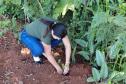 Ações ambientais para comemorar o Dia do Rio preveem a restauração de quatro hectares de mata ciliar em diferentes pontos do Paraná.