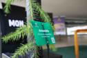 MON se transforma na casa da "muda 10 milhões" do programa Paraná Mais Verde