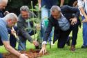MON se transforma na casa da "muda 10 milhões" do programa Paraná Mais Verde
