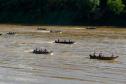 Nova fase do Rio Vivo começa com a soltura de 100 mil peixes no Rio Ivaí, no Noroeste