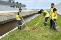 Matinhos: IAT finaliza reflorestamento do Canal da Avenida Paraná com 576 manacás-da-serra