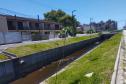 Matinhos: IAT finaliza reflorestamento do Canal da Avenida Paraná com 576 manacás-da-serra