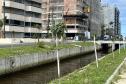 Matinhos: IAT finaliza reflorestamento do Canal da Avenida Paraná com 576 manacás-da-serra