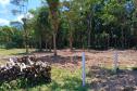 Instituto Água e Terra alerta para golpe do licenciamento ambiental no Litoral do Paraná