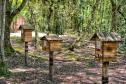 Foto de colmeia do Poliniza Paraná