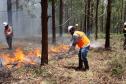 Foto de brigadistas voluntários combatendo incêndio