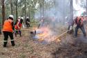 Foto de brigadistas voluntários combatendo incêndio