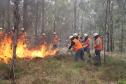 Foto de brigadistas voluntários combatendo incêndio