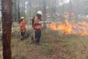 Foto de brigadistas voluntários combatendo incêndio