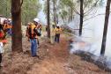 Foto de brigadistas voluntários combatendo incêndio
