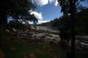 NATUREZA