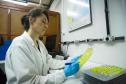 LABORATÓRIO IAT