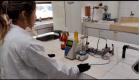 lab iat