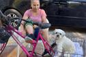 CastraPet Paraná fecha o 4º ciclo