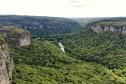 Foto de paisagem verde do Paraná