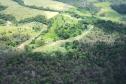 vIAT identificou 478 hectares de área de vegetação danificada por fogo em quatro fazendas de Ribeirão Claro, no Norte Pioneiro