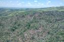 vIAT identificou 478 hectares de área de vegetação danificada por fogo em quatro fazendas de Ribeirão Claro, no Norte Pioneiro
