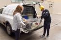 Foto de macacos passando por avaliação médica