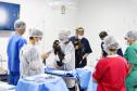 Foto de veterinários atendendo animais