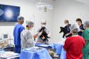 Foto de macacos passando por avaliação médica