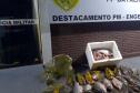 Foto de peixes apreendidos em operação