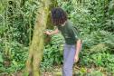 Foto de técnicos em floresta