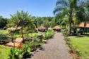 Foto de paisagem dos parques do Paraná