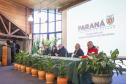 Foto de evento de arborização urbana