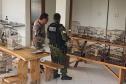 Foto de pássaros apreendidos em operação