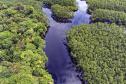 Foto aérea de paisagem natural do Paraná