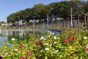 Fotos de árvores e vegetação em ambientes urbanos