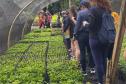 Fotos de eventos de distribuição de mudas Semana do Meio Ambiente