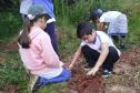 Fotos de eventos de distribuição de mudas Semana do Meio Ambiente