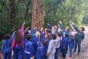Foto de crianças em visita a parque estadual