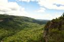 Foto de florestas do Paraná